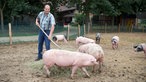 Martin Engels füttert die Schweine.