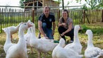 Nicole Nassiry mit Tobi bei den Gänsen. 