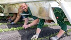 Rainer Overkämping beim Unkraut ernten auf einem Jäteflieger. 