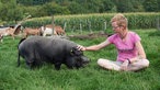 Rita Meermeyer krault eines ihrer Schwein.