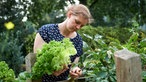 Katharina erntet Salat für ihr Dinner.