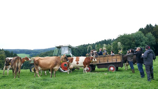 Das Team hinter den Kulissen