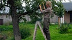 Theresa Cossmann steht im Birnenbaum