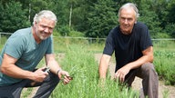  Thomas Kreimeier und Lutz Lambert 