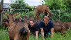 Ilona Kuhnen und Frank Buchholz lassen sich von einer Ziege den Rücken "massieren". 