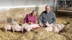 Michael Ullenbruch und Jenny Schneider im Schweinestall. 