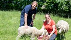 Björn Freitag mit Verena Sommerfeld auf der Schafweide.