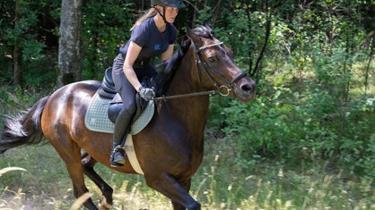 Maria Schulte Spechtel galoppiert mit einem Pferd durch den Wald.