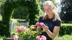 Maria Schulte Spechtel an einem Rosenstrauch.