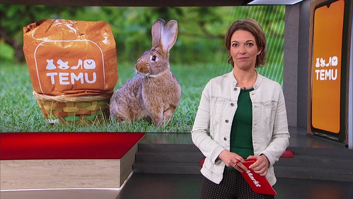 Das Bild zeigt Anna Planken im Markt-Fernsehstudio. Im Hintergrund ist ein Hase und das Logo des Unternehmens "TEMU" zu sehen.