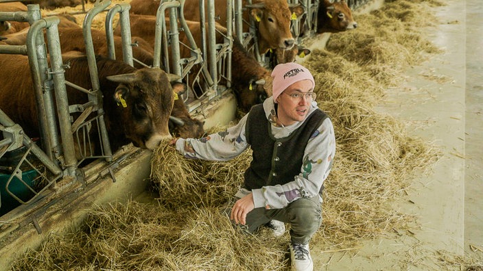 Im Stall bekommen die Rinder nur Heu und Silage