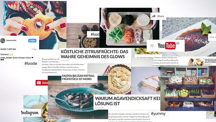 Montage: Ernährungsthemen im Internet