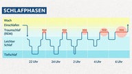 Grafik: Schlafphasen