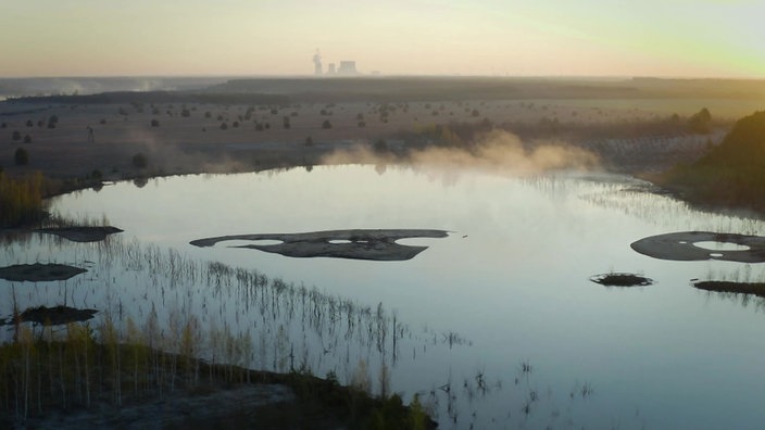 Verwilderte Landschaft in der Lausitz