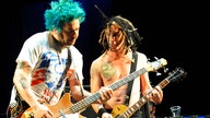 Zwei Bandmitglieder von Nofx spielen E-Bass und Gitarre auf der Bühne