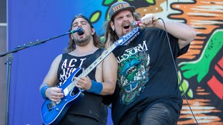 Alestorm beim Summer Breeze 2018