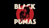 Black Pumas