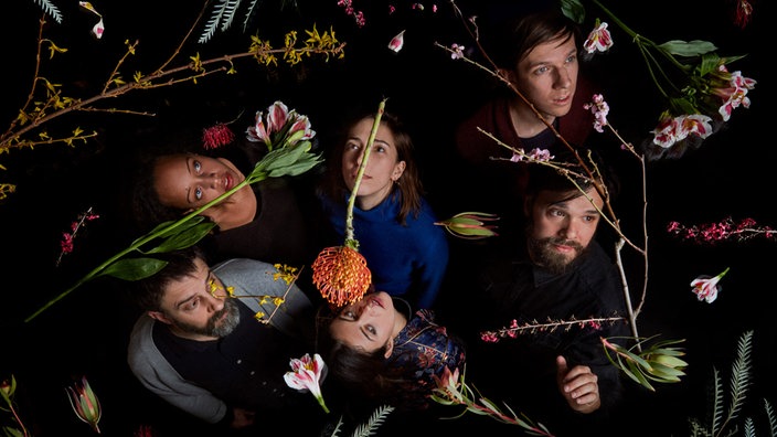 Dirty Projectors