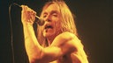 Iggy Pop beim Bizarre Festival 1998