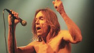 Iggy Pop beim Bizarre Festival 1998