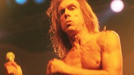 Iggy Pop beim Bizarre Festival 1998