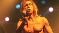 Iggy Pop beim Bizarre Festival 1998