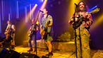 Hayseed Dixie