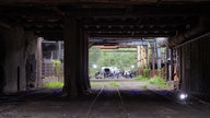 Ivy Flindt im Landschaftspark Duisburg-Nord