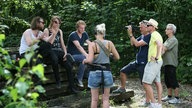 Birth Of Joy beim Interview mit Rockpalast im Wald, die Band sitzt auf einm Baumstammhaufen, das Rockpalast Team steht drumherum