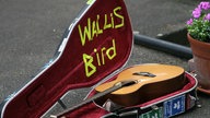 Bunt beklebter Gitarrenkoffer von Wallis Bird liegt auf dem Boden