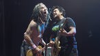 NOFX beim Serengeti Festival 2014