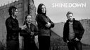 Shinedown