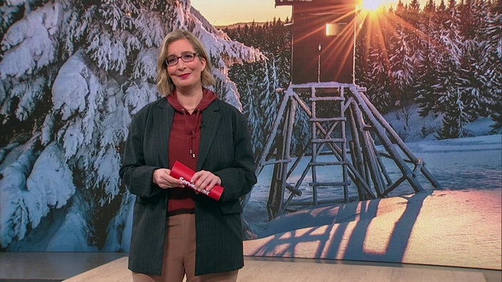 Moderatorin steht im Fernsehstudio. Im Hintergrund ist ein Stück Wald zu sehen. 