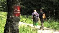 AufnahmeStratmann und Schwanke beim wandern