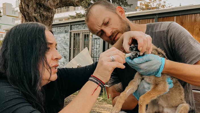 Eine Frau und ein Mann versorgen einen verletzen Straßenhund 