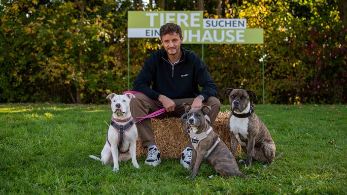 Der Podcaster Tommi Schmitt sitzt auf einem Strohballen und hat drei Hunde an der Leine 