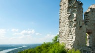 Burgruine Drachenfels mit Blick über das Rheintal.