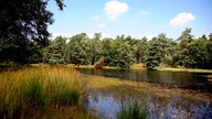 Naturschutzgebiet Schwarzes Wasser