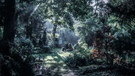 Melaten Friedhof in Köln.