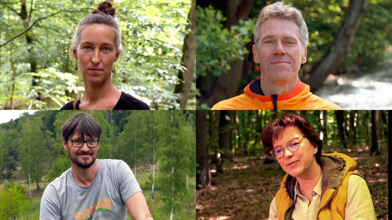 Katharina Voigt, Thomas Becker, Daniel Lühr, Kathrin Heinrichs. (von oben links)