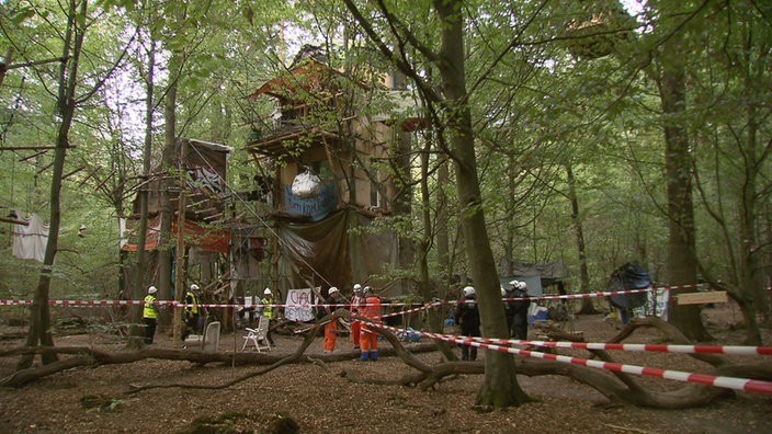 Baumhäuser bei der Räumung im Herbst 2018, Filmstill aus "Die rote Linie"