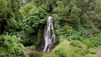 Wasserfall an einem bewaldeten Berghang