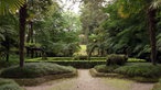 Park mit Palmen und aus Büschen geschnittenen Tierfiguren