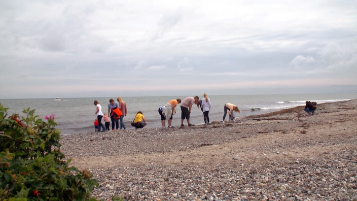 Mehrere Personen suchen an einem Kieselstrand nach Steinen