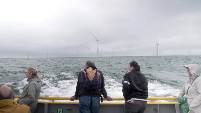 Mehrere Personen stehen an der Reling eines Schiffes und schauen auf Windräder am Horizont