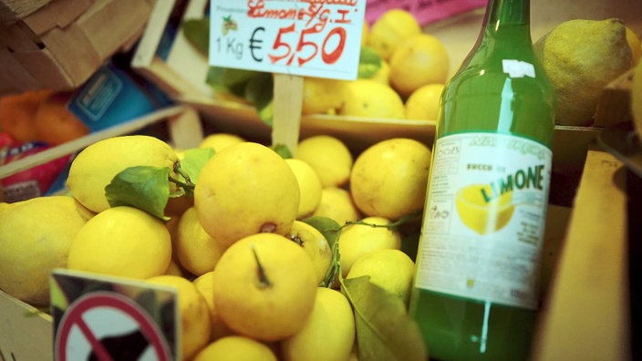 Geschäftsauslage mit frischen Zitronen und einer Flasche Zitronensaft