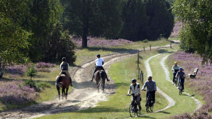 Reiter und Radfahrer auf sandigen Heideboden