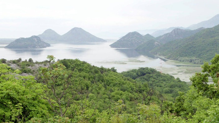 Blick über Wald auf einen See mit mehreren Inseln