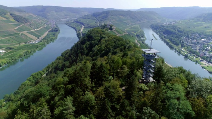 Blick von oben auf ein Waldstück mit einem Aussichtsturm und zu beiden Seiten fließt die Mosel