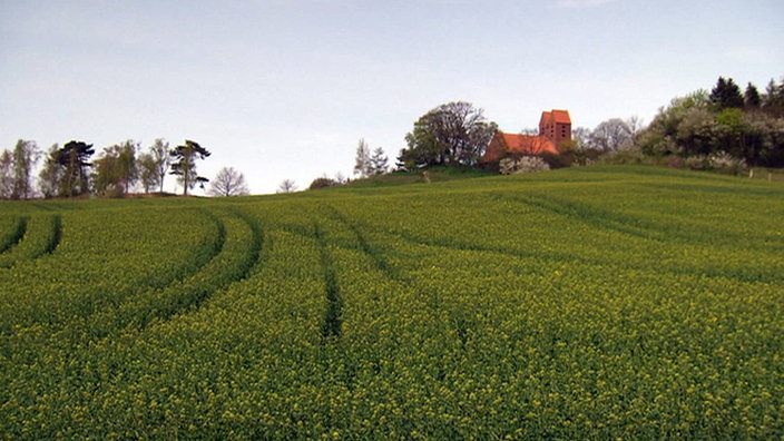 Blick über ein Feld auf eine kleine Backsteinkirche